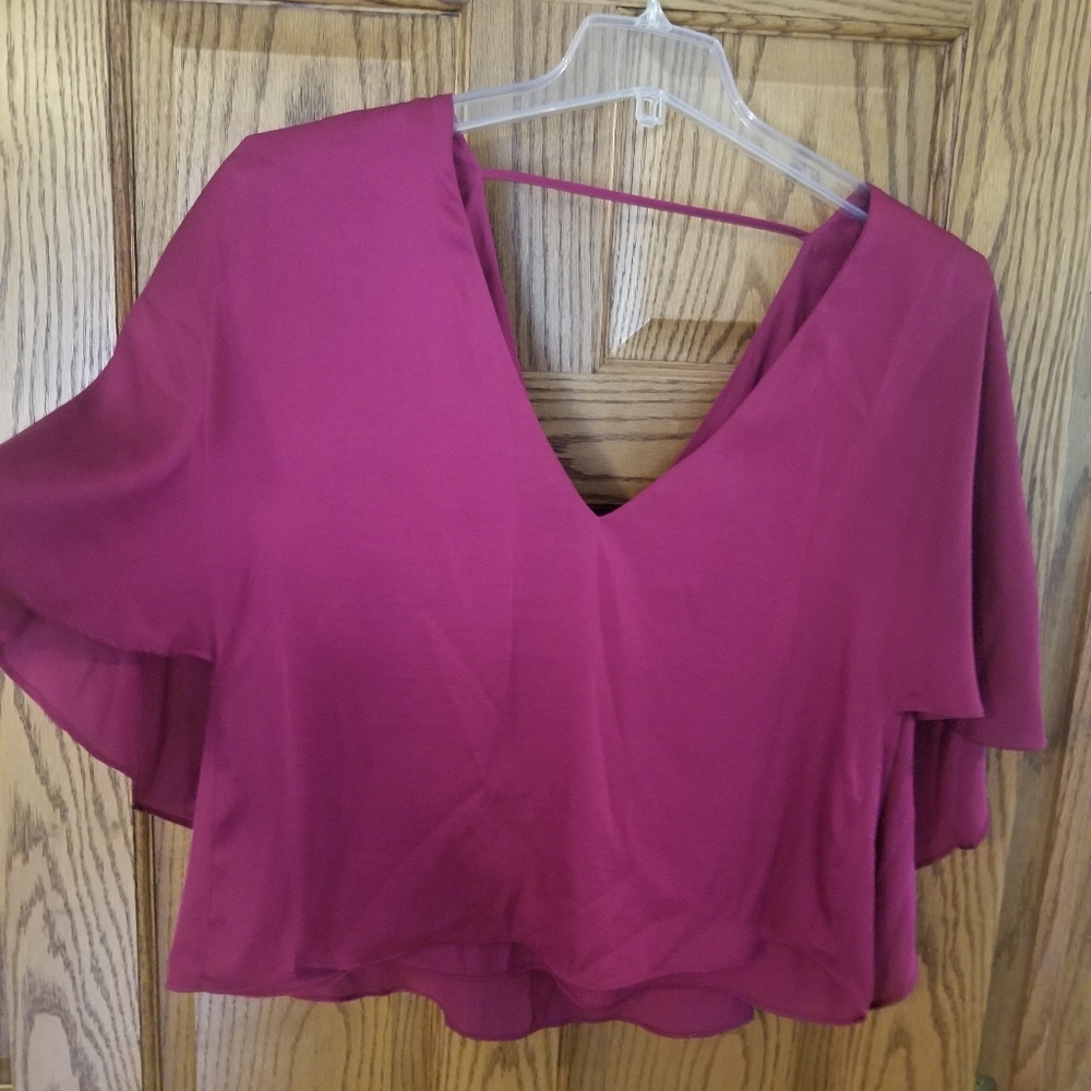 Lovers & Friends Raspberry Top - Picture 4 of 7